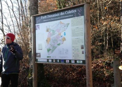 Parcours d'Orientation, Forêt Domaniale des Colettes, Allier | Actu