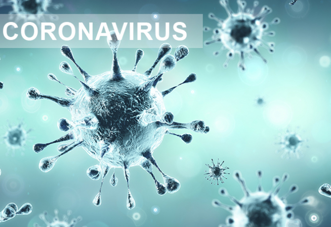 Coronavirus : suspension de l’accueil en formation des jeunes en E2C – Continuité pédagogique
