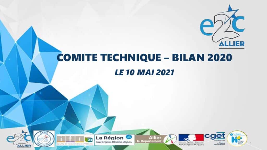thumbnail of Comité technique